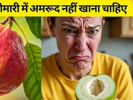 कौन सी बीमारी में अमरूद नहीं खाना चाहिए और किन लोगों को अमरूद खाने से बचना चाहिए? कौन सी बीमारी में अमरूद नहीं खाना चाहिए और किन लोगों को अमरूद खाने से बचना चाहिए?