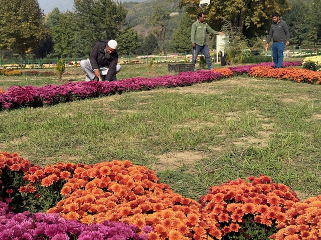 Add image caption here Add image caption here