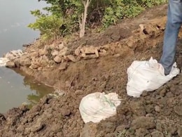 सतना के पटना बांध से पानी का रिसाव तेज, ग्रामीणों ने बोरियों से रोका, मौके पर पहुंची प्रशासन की टीम सतना के पटना बांध से पानी का रिसाव तेज, ग्रामीणों ने बोरियों से रोका, मौके पर पहुंची प्रशासन की टीम
