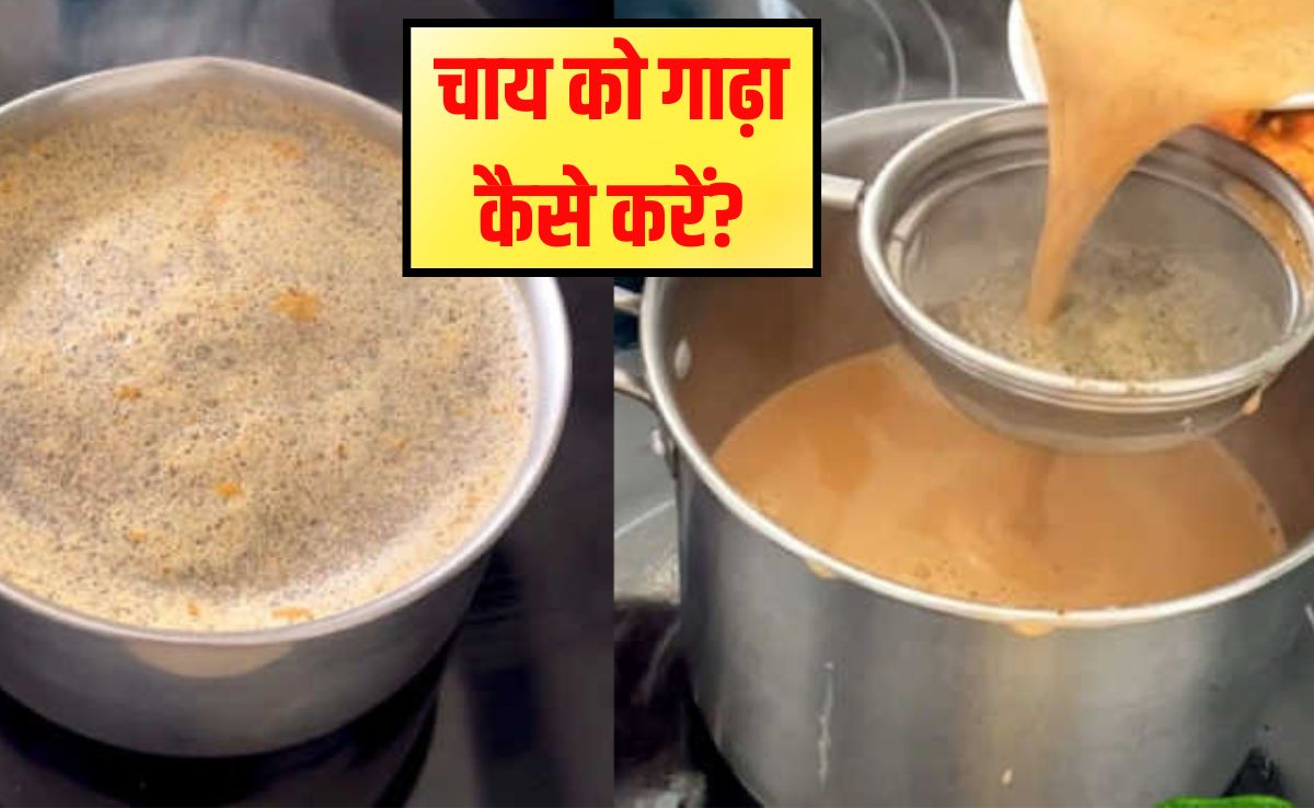 चाय को गाढ़ा बनाने के लिए क्या डालें? 99% लोग गलत तरीके से बनाते हैं चाय, जान‍िए डालने और पकाने का सही समय