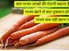 क्या गाजर आंखों की रोशनी बढ़ाता है? गाजर खाने के नुकसान क्या हैं? गाजर किन लोगों को नहीं खाना चाहिए? जानिए