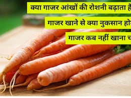 क्या गाजर आंखों की रोशनी बढ़ाता है? गाजर खाने के नुकसान क्या हैं? गाजर किन लोगों को नहीं खाना चाहिए? जानिए क्या गाजर आंखों की रोशनी बढ़ाता है? गाजर खाने के नुकसान क्या हैं? गाजर किन लोगों को नहीं खाना चाहिए? जानिए