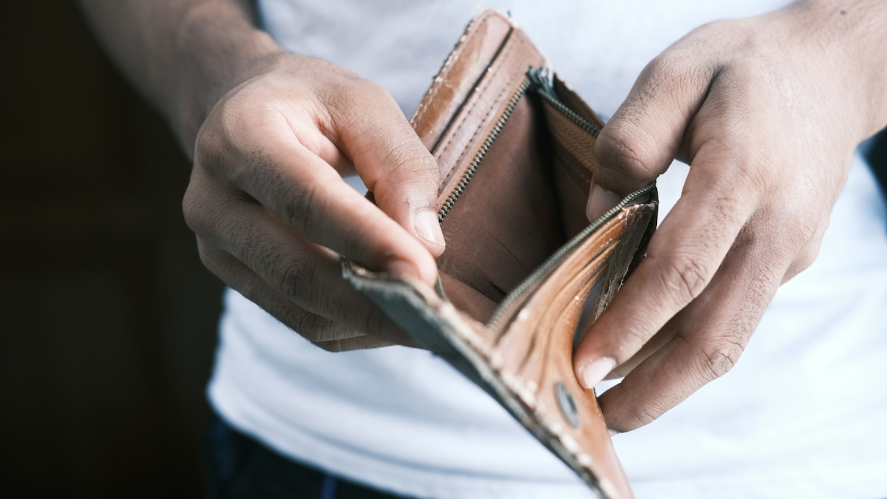 Vegan wallets are eco-friendly