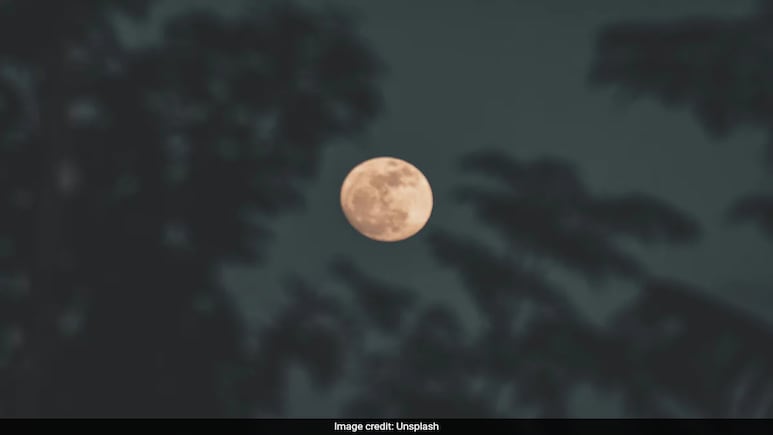 Beaver Moon: All About The Full Moon Of November 2025 Beaver Moon: All About The Full Moon Of November 2025