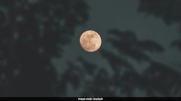 Beaver Moon 2025: Check When It Will Be Visible In India