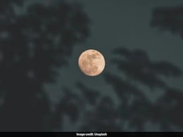 Beaver Moon 2025: Check When It Will Be Visible In India
