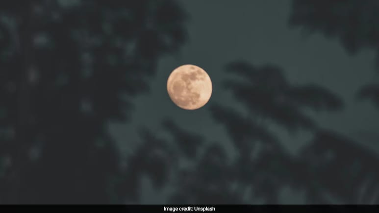 Beaver Moon 2025: Check When It Will Be Visible In India