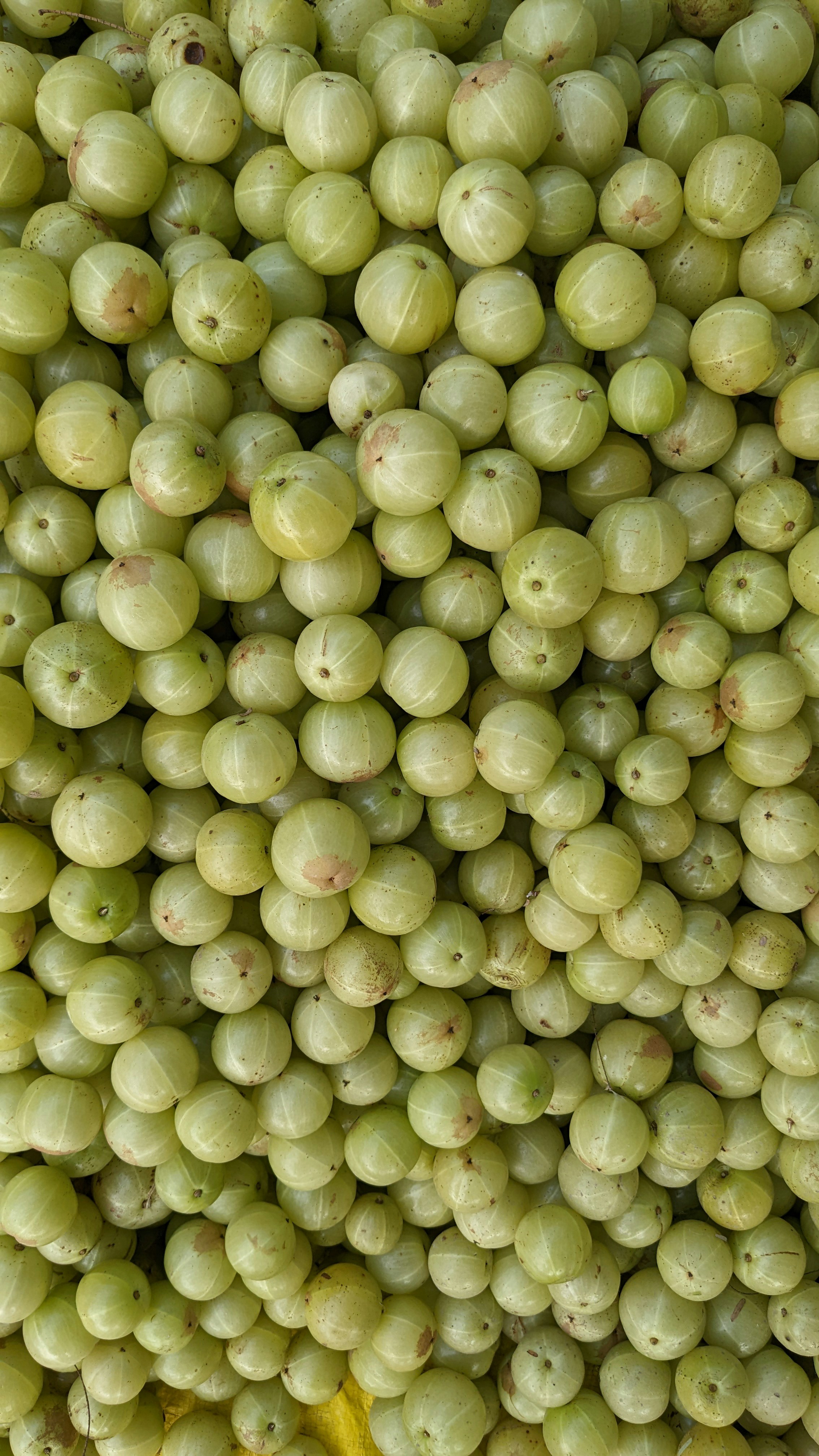 7 Surprising Amla Water Benefits For Overall Health