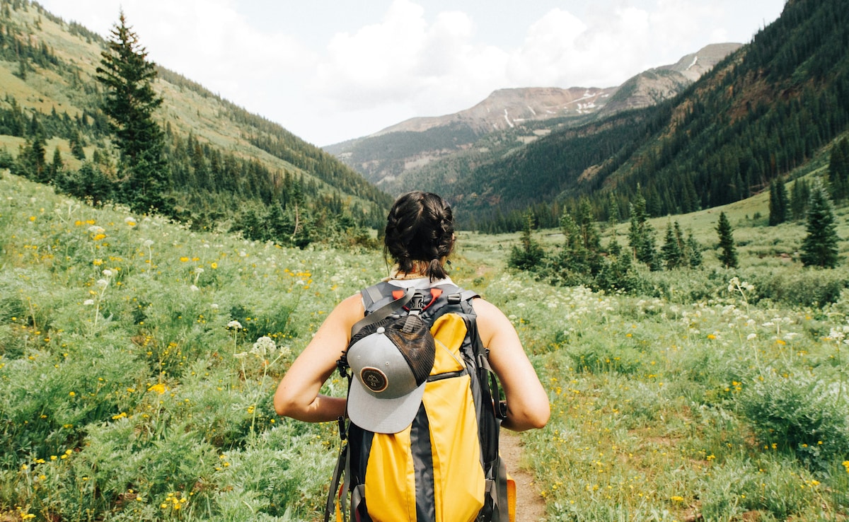 Latest and Breaking News on NDTV Latest and Breaking News on NDTV