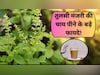 इन 4 लोगों के लिए औषधि से कम नहीं तुलसी की मंजरी, जानें फायदे और इस्तेमाल का तरीका