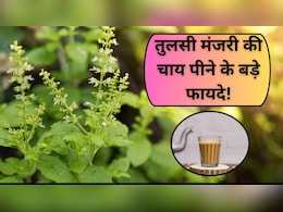 इन 4 लोगों के लिए औषधि से कम नहीं तुलसी की मंजरी, जानें फायदे और इस्तेमाल का तरीका इन 4 लोगों के लिए औषधि से कम नहीं तुलसी की मंजरी, जानें फायदे और इस्तेमाल का तरीका