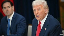 "Haven't Gone Far Enough": Trump On US Immigration Raids