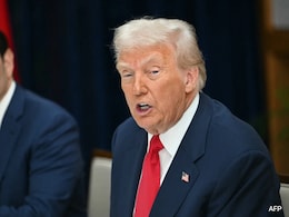 "Haven't Gone Far Enough": Trump On US Immigration Raids