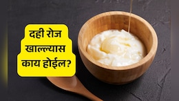 Health Benefits Of Eating Curd Daily: सलग 30 दिवस दही खाल्ल्यास मिळतील हे 5 मोठे फायदे