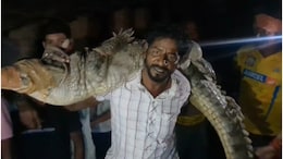 Rajasthan: घर में आ बैठा 10 फीट लंबा मगरमच्छ, 'बाहुबली' की तरह कंधे पर उठाकर ले गया 'टाइगर'