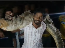 Rajasthan: घर में आ बैठा 10 फीट लंबा मगरमच्छ, 'बाहुबली' की तरह कंधे पर उठाकर ले गया 'टाइगर' Rajasthan: घर में आ बैठा 10 फीट लंबा मगरमच्छ, 'बाहुबली' की तरह कंधे पर उठाकर ले गया 'टाइगर'