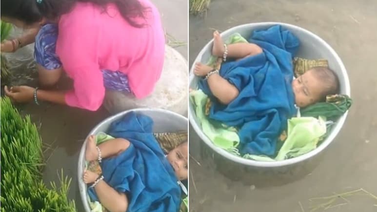 पानी भरे खेत को जोत रही थी मां, पास ही तसले में लेटी खेल रही नन्ही परी, Video देख यूजर्स बोले- रियल योद्धा