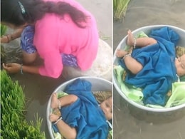 पानी भरे खेत को जोत रही थी मां, पास ही तसले में लेटी खेल रही नन्ही परी, Video देख यूजर्स बोले- रियल योद्धा पानी भरे खेत को जोत रही थी मां, पास ही तसले में लेटी खेल रही नन्ही परी, Video देख यूजर्स बोले- रियल योद्धा