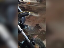 चलती बाइक के हैंडल पर फन फैलाकर खड़ा हुआ सांप, चालक ने छलांग लगाकर बचाई जान  चलती बाइक के हैंडल पर फन फैलाकर खड़ा हुआ सांप, चालक ने छलांग लगाकर बचाई जान