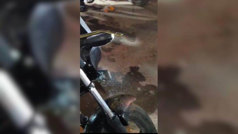 चलती बाइक के हैंडल पर फन फैलाकर खड़ा हुआ सांप, चालक ने छलांग लगाकर बचाई जान  चलती बाइक के हैंडल पर फन फैलाकर खड़ा हुआ सांप, चालक ने छलांग लगाकर बचाई जान