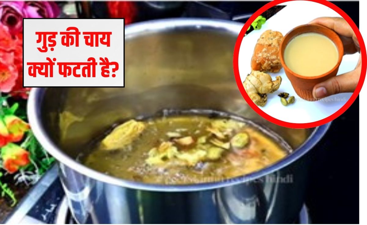 गुड़ की चाय क्यों फट जाती है? क्या हम रोज गुड़ की चाय पी सकते हैं, 99% लोगों को नहीं आती बनानी चाय
