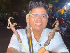 Would You Dare To Try? Cambodia's Fried 'Chipkali' Goes Viral Online