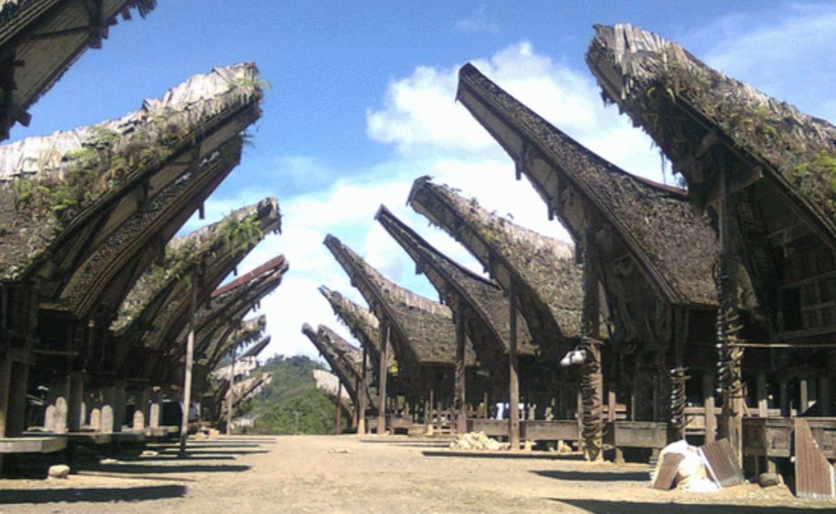 The Toraja tribe lives with its dead ancestors. Photo: Wikipedia The Toraja tribe lives with its dead ancestors. Photo: Wikipedia