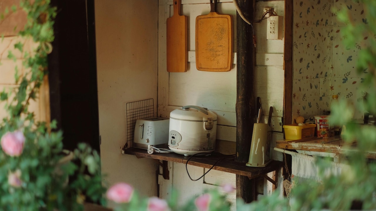 Cook rice to perfection by choosing the right cooker in these simple steps