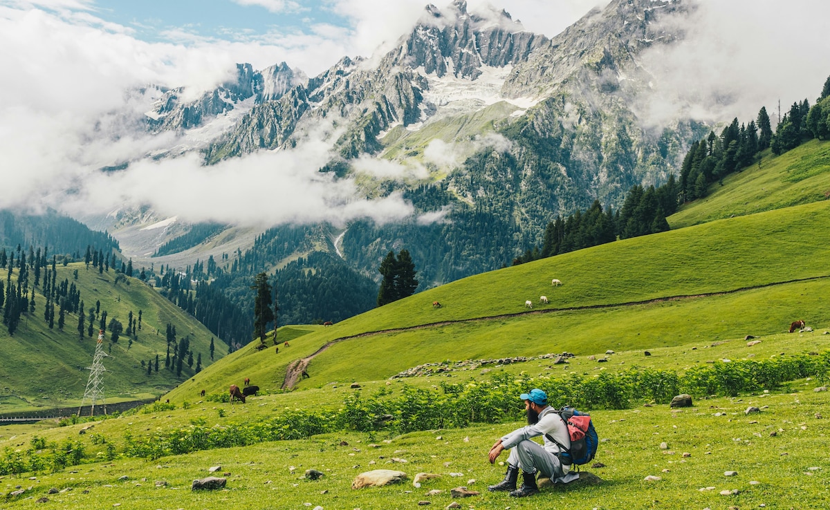 Latest and Breaking News on NDTV Latest and Breaking News on NDTV