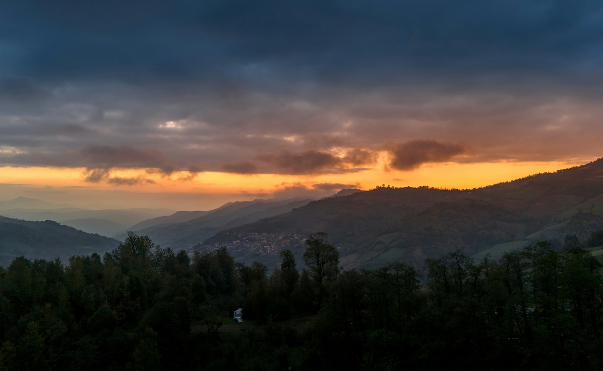 Latest and Breaking News on NDTV Latest and Breaking News on NDTV