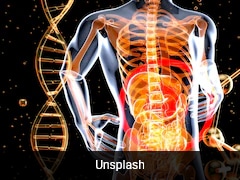 'Disease Of Older Adults': Diverticulitis Cases Surge Among Americans