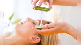 Hair Care Tips: अ&zwj;ॅलोव्हेरा थेट केसांवर लावू शकतो का? 99% लोकांना योग्य पद्धत माहितीच नाही