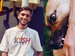 Dog bite: कुत्रा चावला पण दुर्लक्ष केलं, 2 महिन्यांनी तरुणाची भीषण अवस्था; तडफडत रुग्णालयातच मृत्यू