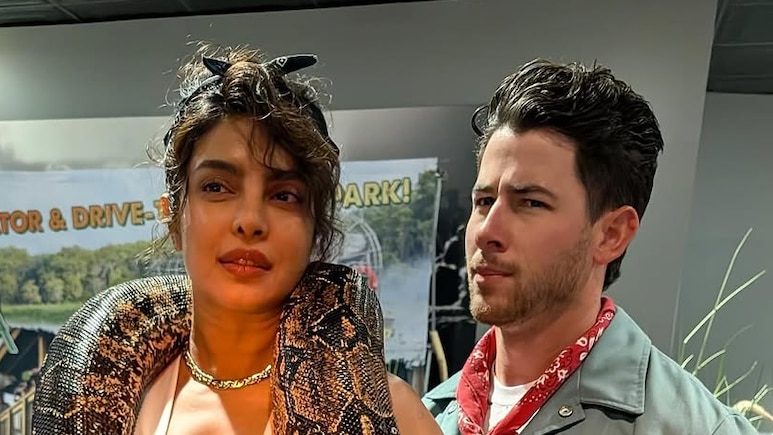 फिर से पुराने शौक की ओर लौटीं प्रियंका चोपड़ा, गले में अजगर डाल पति संग दिए पोज फिर से पुराने शौक की ओर लौटीं प्रियंका चोपड़ा, गले में अजगर डाल पति संग दिए पोज