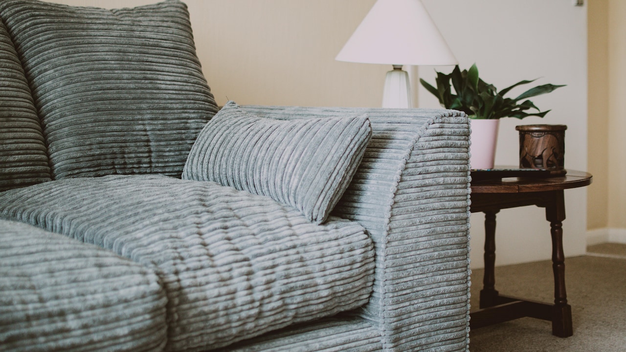 Top Sofa Sets That Repel Pet Hair: Easy-to-Clean Options for Modern Homes