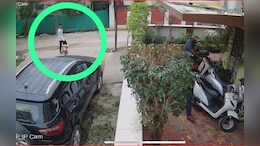 कुरकुरे का लालच देकर अपहरण की कोशिश, मां की बाहदूरी से बची ढाई साल की मासूम&nbsp;