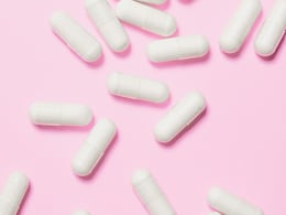Enhancing Probiotic Efficacy With Chicory Extract: A Breakthrough In Gut Health Supplementation Enhancing Probiotic Efficacy With Chicory Extract: A Breakthrough In Gut Health Supplementation