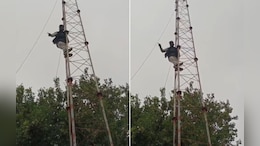 रिश्वतखोरी का अनोखा विरोध! टावर पर चढ़ गया युवक, सुसाइड की दी धमकी, 4 घंटे चला हंगामा