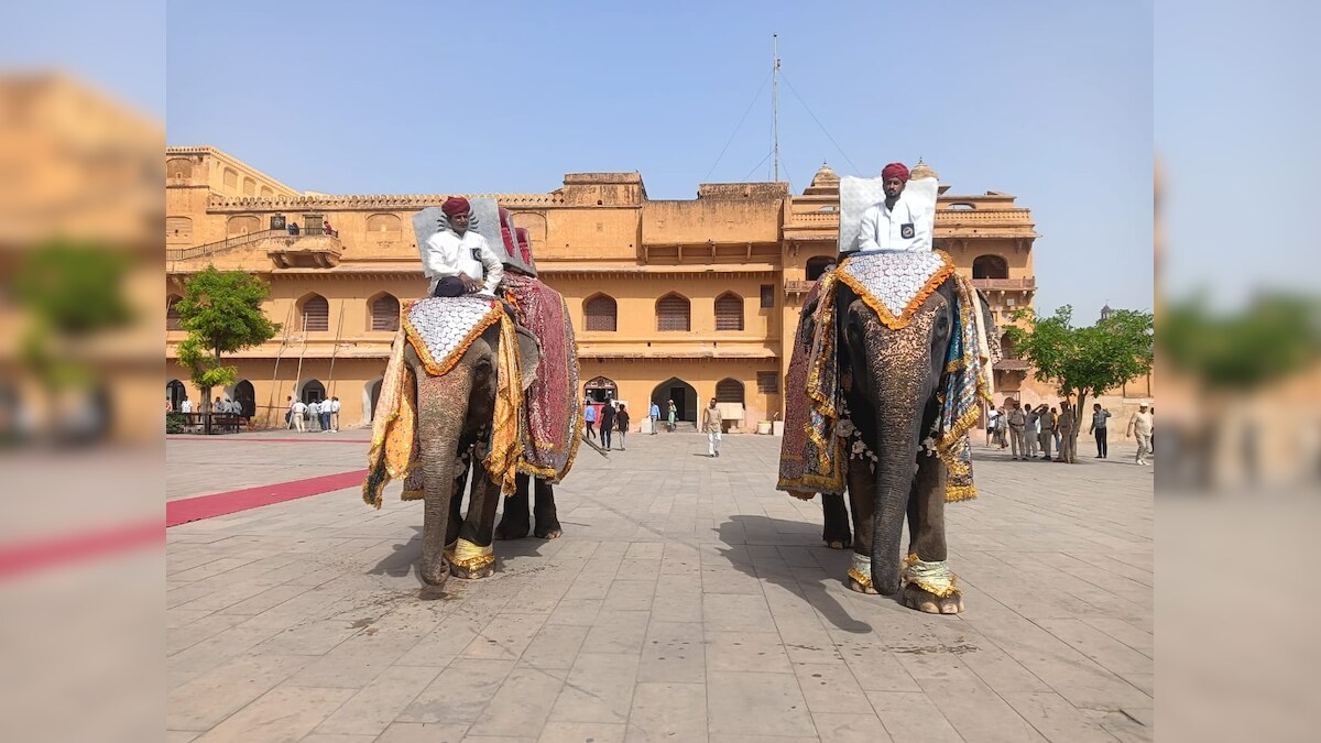 Rajasthan: देश का एकमात्र आमेर का हाथी गांव, जहां हथनियों को ...