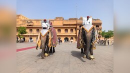 Rajasthan: देश का एकमात्र आमेर का हाथी गांव, जहां हथनियों को मिला घर, पर जीवनसाथी नहीं