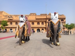 Rajasthan: देश का एकमात्र आमेर का हाथी गांव, जहां हथनियों को मिला घर, पर जीवनसाथी नहीं Rajasthan: देश का एकमात्र आमेर का हाथी गांव, जहां हथनियों को मिला घर, पर जीवनसाथी नहीं