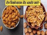 एक दिन में कितने भीगे हुए बादाम और अखरोट खाने चाहिए? एक दिन में कितने भीगे हुए बादाम और अखरोट खाने चाहिए?