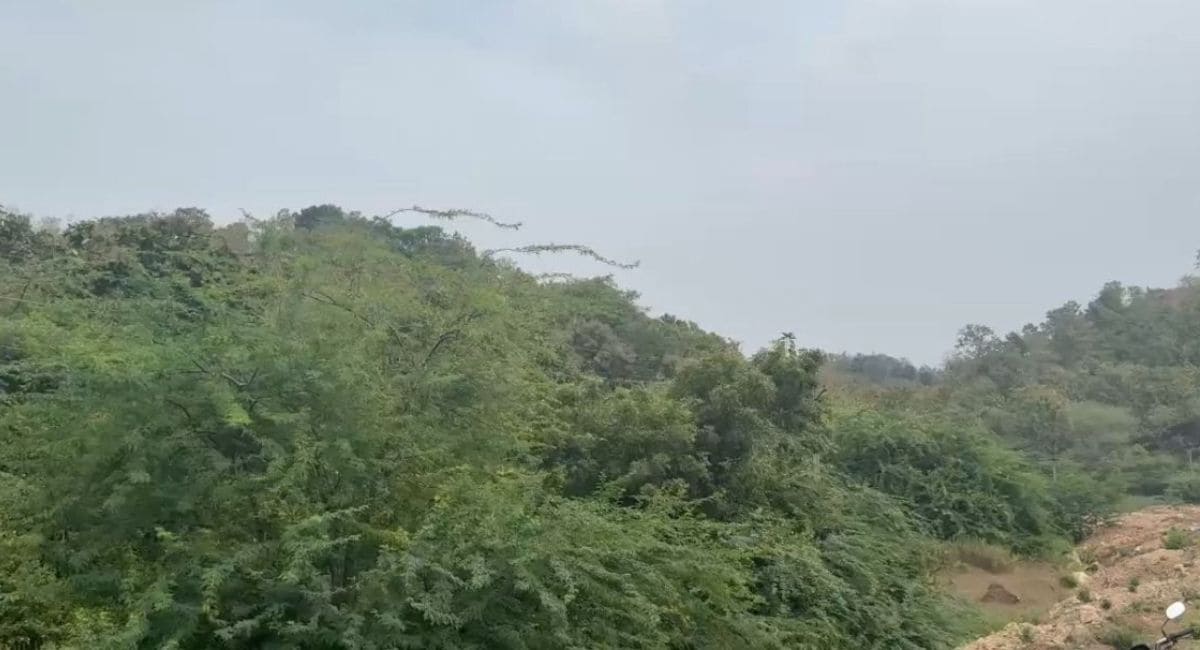 बांसवाड़ा में सोने का खान मिलने का अनुमान है.  बांसवाड़ा में सोने का खान मिलने का अनुमान है.