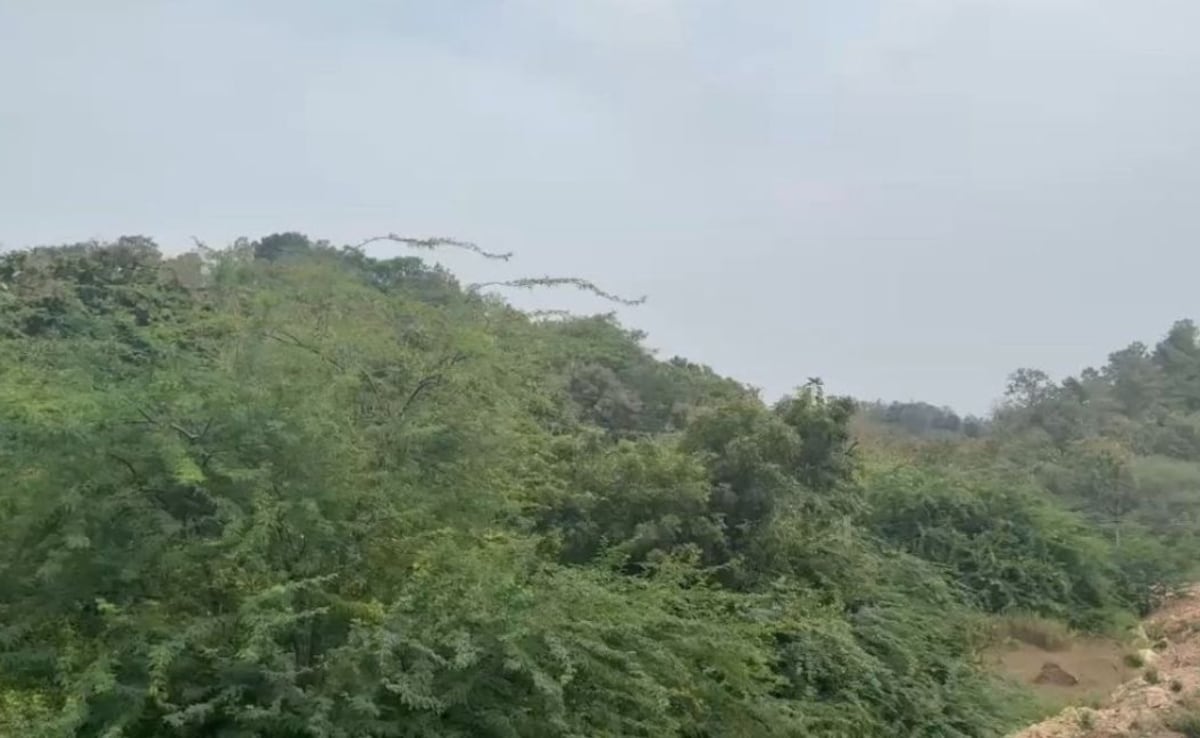 Latest and Breaking News on NDTV Latest and Breaking News on NDTV