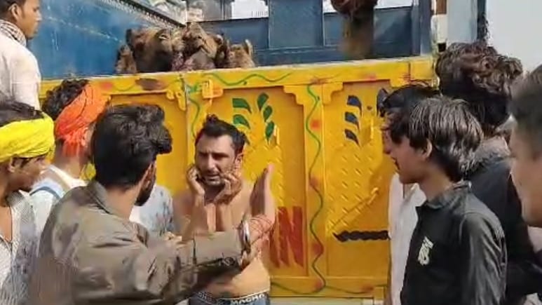 Rajasthan: ऊंट तस्करी के आरोपी की जमकर की पिटाई, नंगा कर गालों पर मारे थप्पड़; कान पकड़वाकर मंगवाई माफी Rajasthan: ऊंट तस्करी के आरोपी की जमकर की पिटाई, नंगा कर गालों पर मारे थप्पड़; कान पकड़वाकर मंगवाई माफी