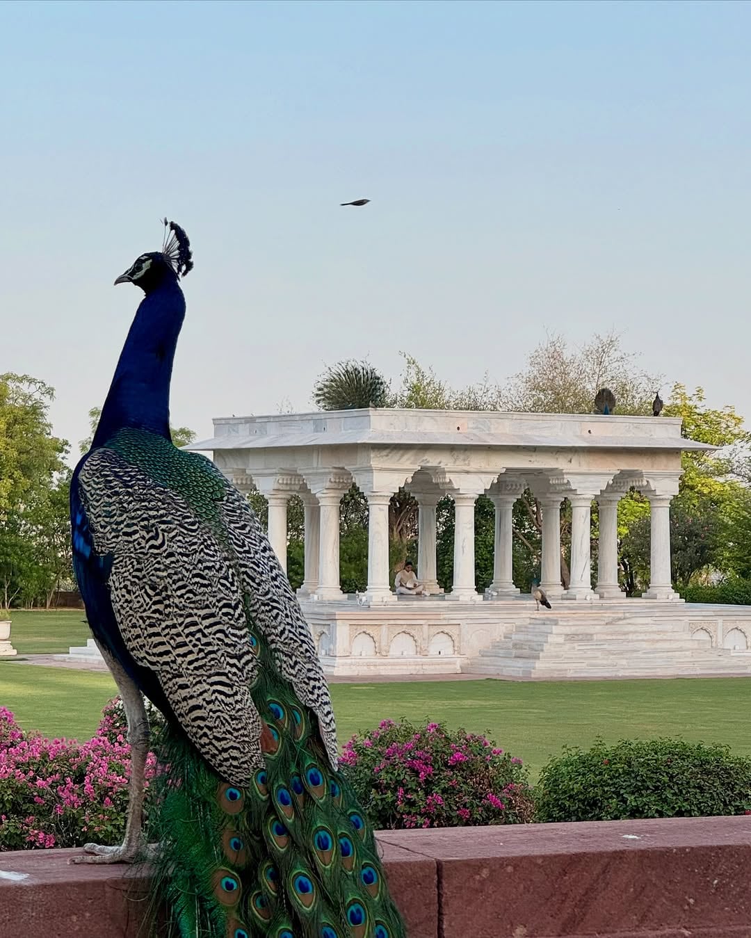 Umaid Bhavans design was entrusted to British architect Henry Vaughan Lanchester. Photo: Instagram Umaid Bhavans design was entrusted to British architect Henry Vaughan Lanchester. Photo: Instagram