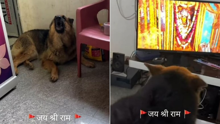 टीवी पर जैसे ही बजा राम भजन, कुत्ते ने अचानक किया कुछ ऐसा, Video देख लोगों ने लगाया जय श्री राम का जयकारा