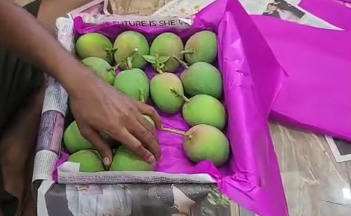 Latest and Breaking News on NDTV Latest and Breaking News on NDTV