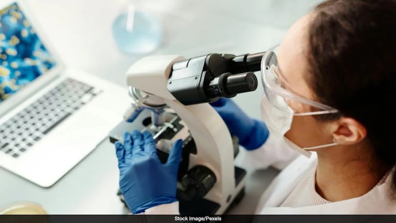 Scientists Discover Molecular 'Passports' That Control Cell Nuclei Scientists Discover Molecular 'Passports' That Control Cell Nuclei