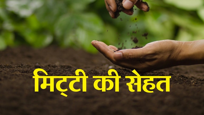 Soil Health: 15 जिलों की मिट्टी में नाइट्रोजन की कमी; MP में खेती की जमीन की सेहत पर संकट, ऐसे हैं आंकड़ें Soil Health: 15 जिलों की मिट्टी में नाइट्रोजन की कमी; MP में खेती की जमीन की सेहत पर संकट, ऐसे हैं आंकड़ें